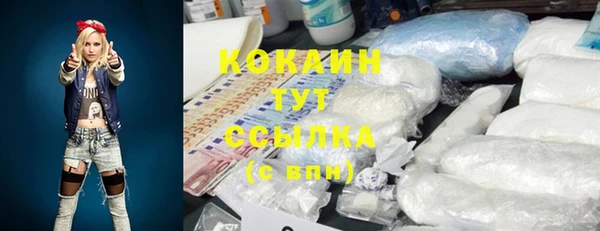 хмурый Арсеньев