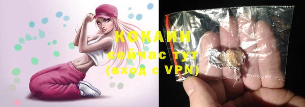 хмурый Арсеньев