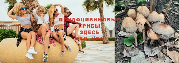 хмурый Арсеньев