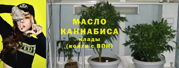 хмурый Арсеньев