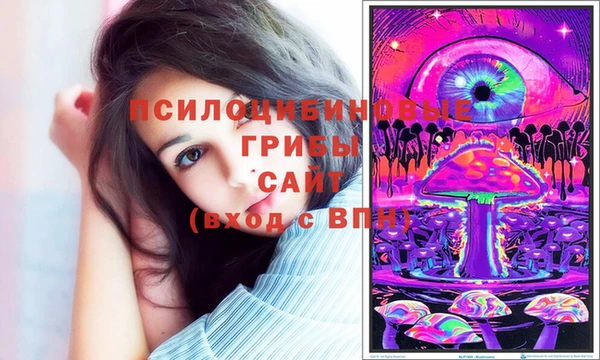 кокс Армянск