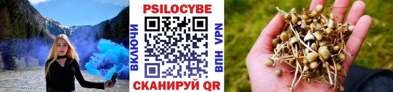 Галлюциногенные грибы Cubensis  Сычёвка 