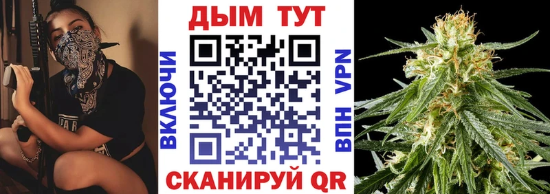Бошки марихуана THC 21% как найти закладки Сычёвка